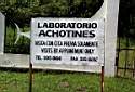 El Achotines