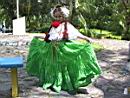 Pollera