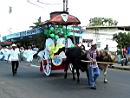 Ox Cart