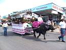 Ox Cart