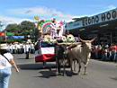 Ox Cart