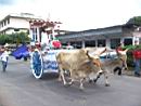 Ox Cart