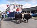 Ox Cart