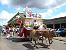 Ox Cart