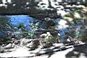 Drunk in river - Lajamina