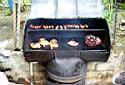 Barbeque in Pes�