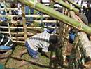 TN_mud_house-31.JPG (6429 bytes)