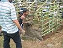 TN_mud_house-48.JPG (5709 bytes)