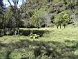 Tizingal Springs