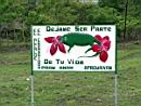 TN_sign_cambutal_8.JPG (5123 bytes)