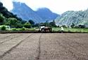 Plowing field