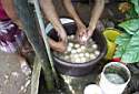 Turtle Eggs