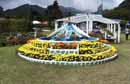 Flower display