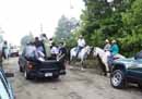 Horse Parade Paso Ancho