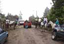 Horse Parade Paso Ancho