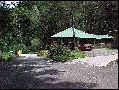 Bambito Resort
