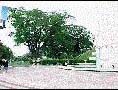 Goethals Monument