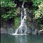 Majagua