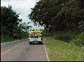 Plantain To Market