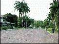 Cardenas