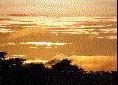 Sunset Cardenas