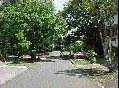 Tavernilla St.