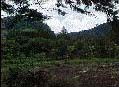 Cerro Punta