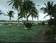 Washington Hotel grounds
