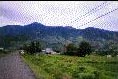 Cerro Punta