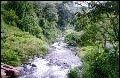 River-Nueva Suisa
