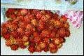 Chinese Plums
