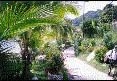 Street - Taboga