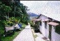 Street -
Taboga