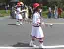 Volcan Parade