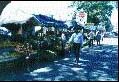 Market - Rio Abajo.