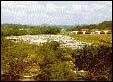 Albrook.