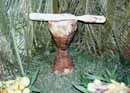 Pilon